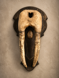 The Walrus