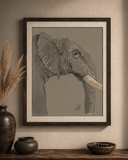 Elephant Study