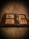 Hocus Pocus Inspired Spell Book
